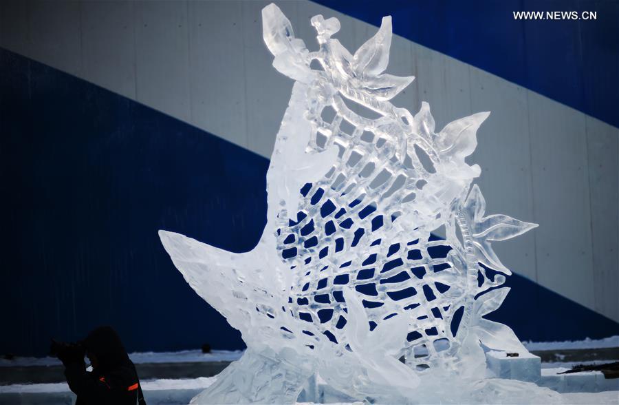 31a Competi??o Internacional de Escultura em Gelo encerrada em Harbin