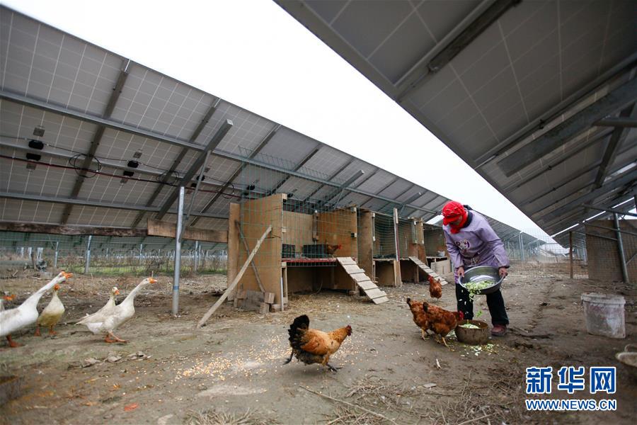 Primeira central fotovoltaica inicia opera??es em Shaanxi
