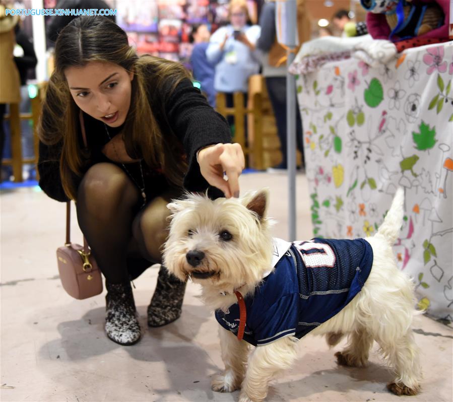 Sal?o de Animais de Estima??o 2017 é realizado em Lisboa