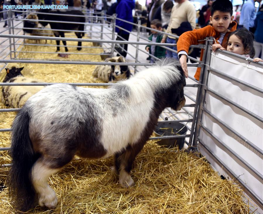 Sal?o de Animais de Estima??o 2017 é realizado em Lisboa