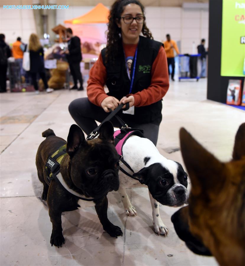 Sal?o de Animais de Estima??o 2017 é realizado em Lisboa