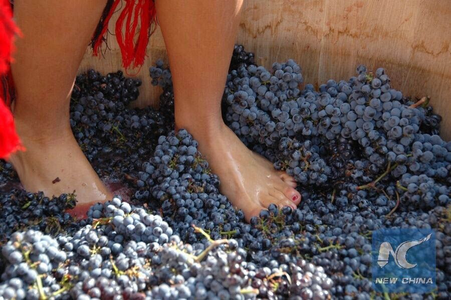 Bulgária quer aumentar exporta??o de vinho para a China, diz ministro