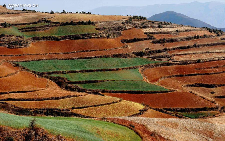 Panorama dos terra?os de solo vermelho no sudoeste da China