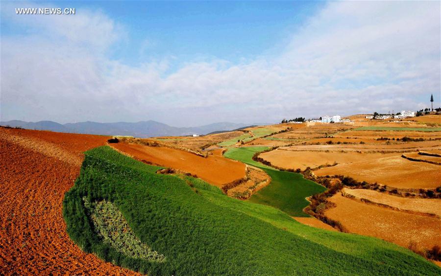 Panorama dos terra?os de solo vermelho no sudoeste da China