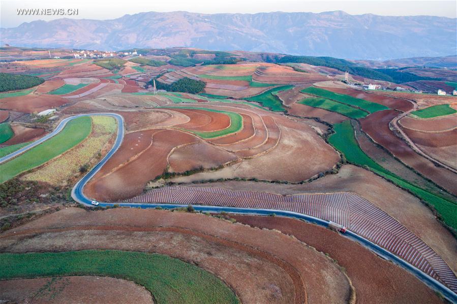 Panorama dos terra?os de solo vermelho no sudoeste da China