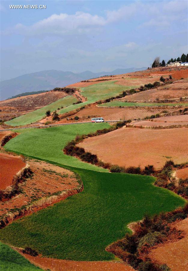 Panorama dos terra?os de solo vermelho no sudoeste da China