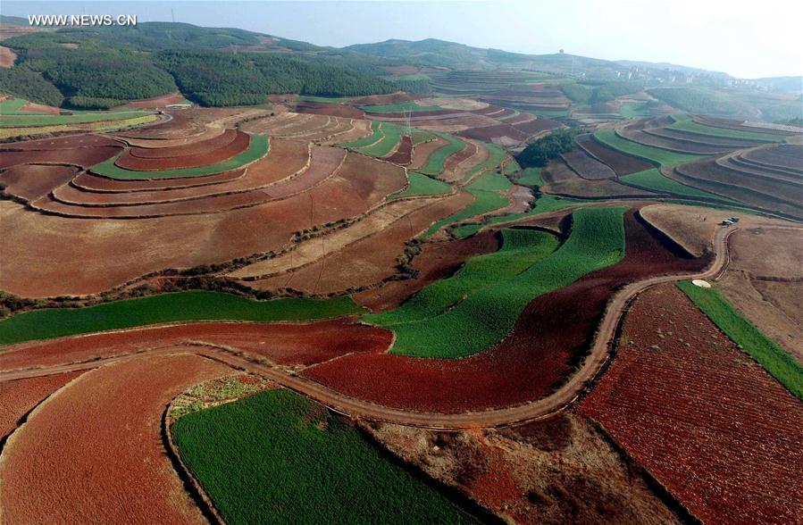 Panorama dos terra?os de solo vermelho no sudoeste da China