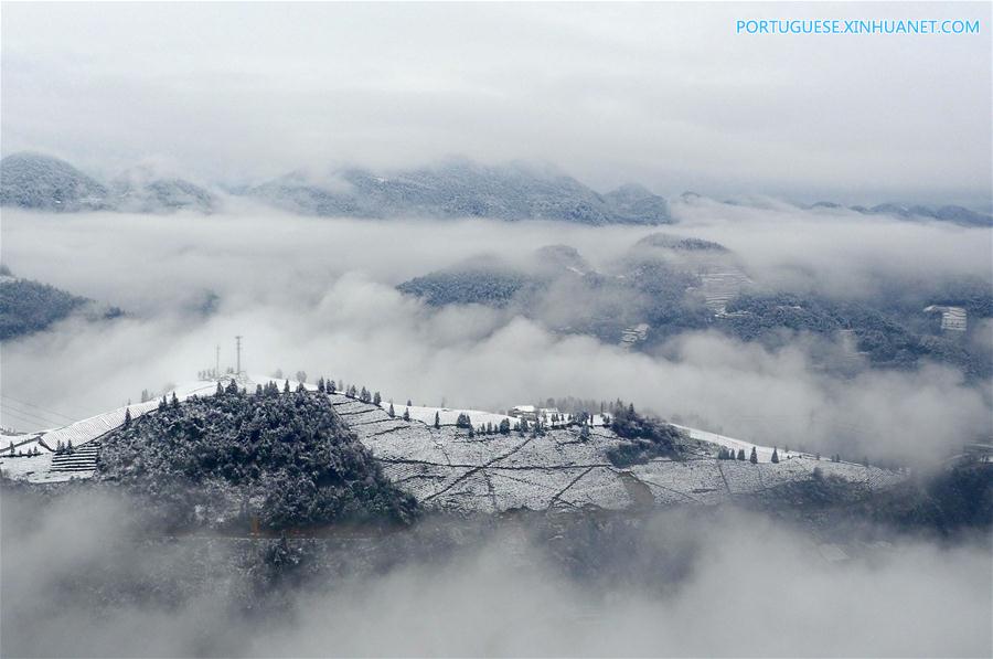 Em imagens: jardim de chá em Hubei coberto pela neve