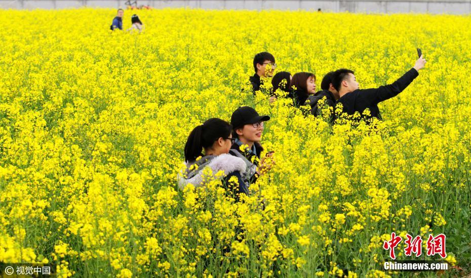 Mar de flores em Wuhan atrai turistas