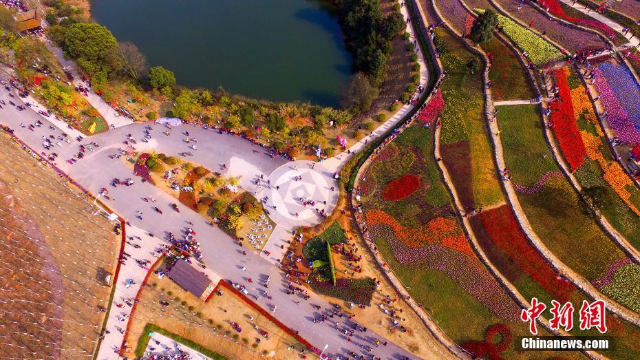 Mar de tulipas no jardim botanico de Jiangxi