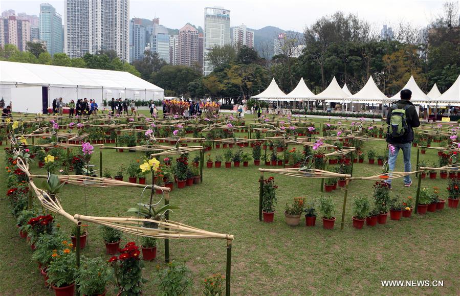 Exposi??o de flores realizada no Parque Vitória em Hong Kong 