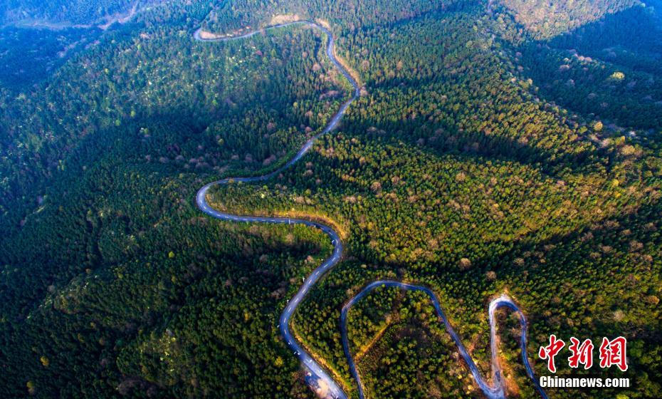 Panorama do “pulm?o verde” de Jiangxi
