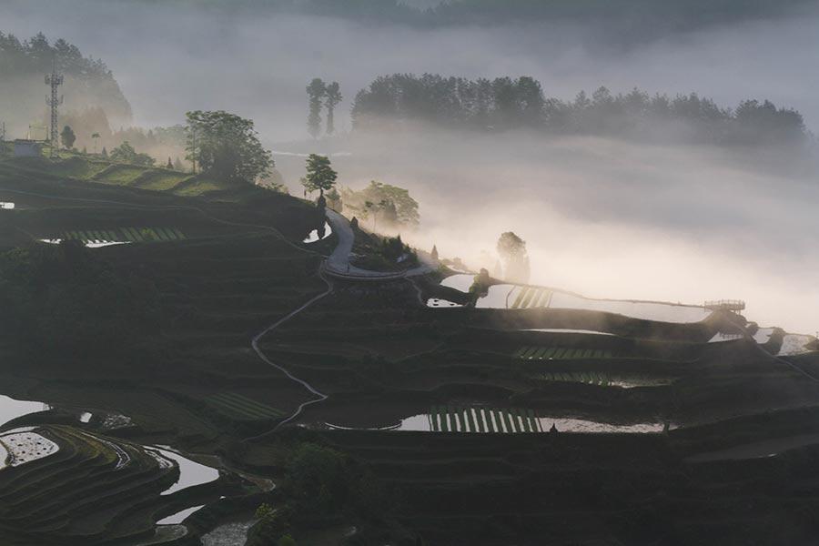 Fotografias capturam beleza natural dos socalcos de Youyang