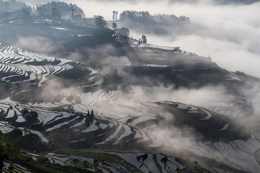 Fotografias capturam beleza natural dos socalcos de Youyang