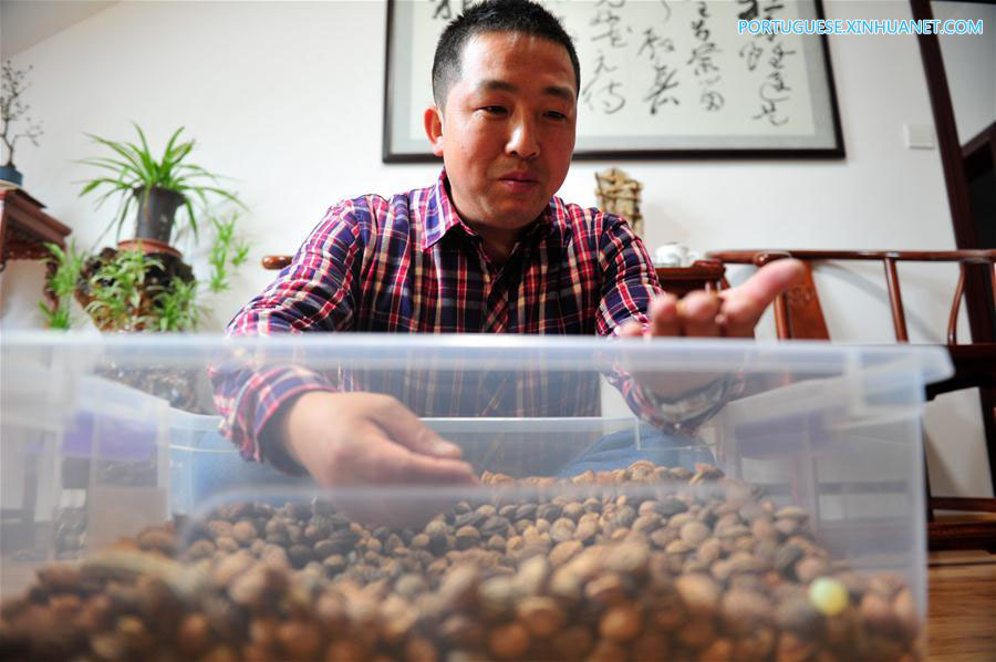 Pe?as esculpidas em caro?os de pêssego s?o heran?a cultural de Xuancheng em Anhui