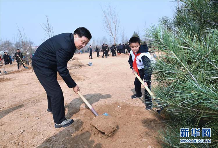 Presidente chinês planta árvores e pede compreens?o e prote??o da natureza