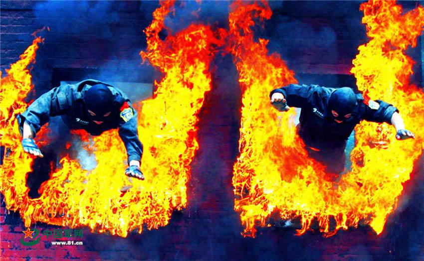 Unidade de Comandos Leopardo das Neve na salvaguarda da seguran?a nacional