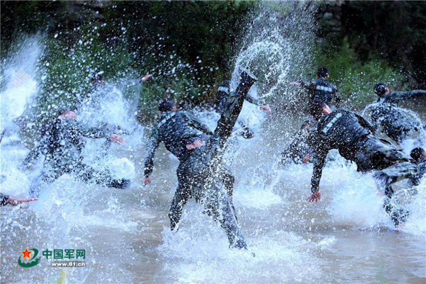 Unidade de Comandos Leopardo das Neve na salvaguarda da seguran?a nacional