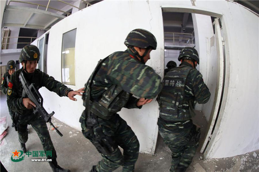 Unidade de Comandos Leopardo das Neve na salvaguarda da seguran?a nacional