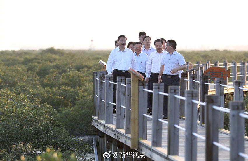 Xi Jinping: Iniciativa do Cintur?o e Rota deixa a sua marca na comunidade global