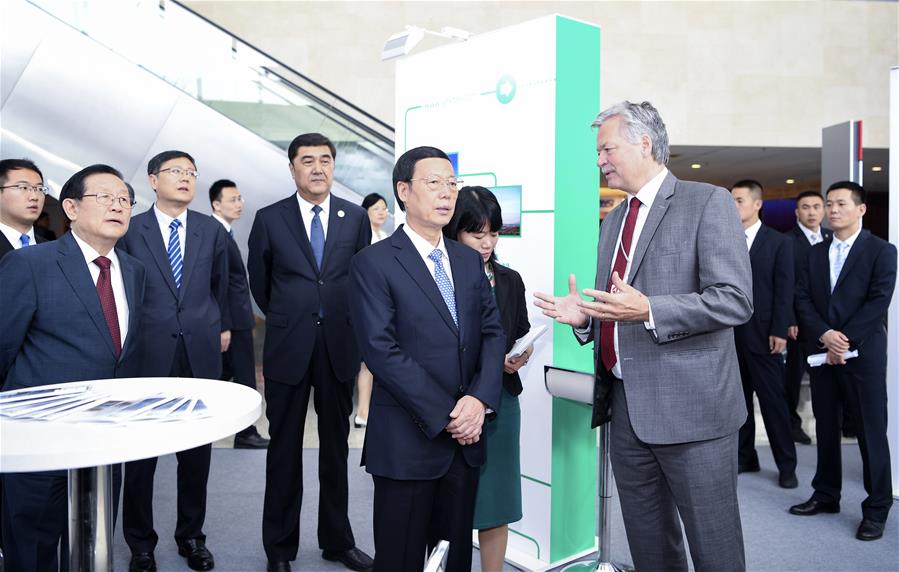 Vice-premiê chinês pede esfor?os conjuntos para impulsionar energia limpa