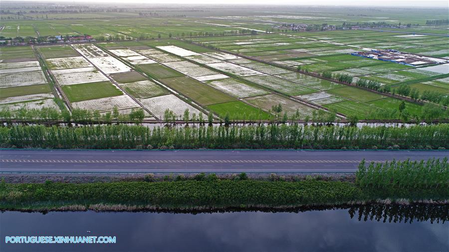 Dez cidades de Ningxia localizadas ao longo de rio Amarelo s?o ligadas por estrada