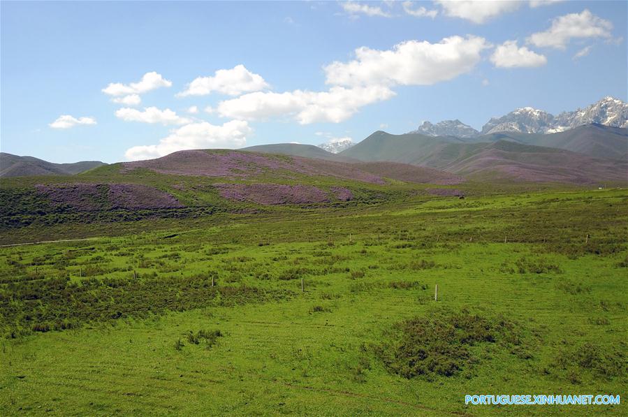 Cenário de ver?o das montanhas Qilian no noroeste da China