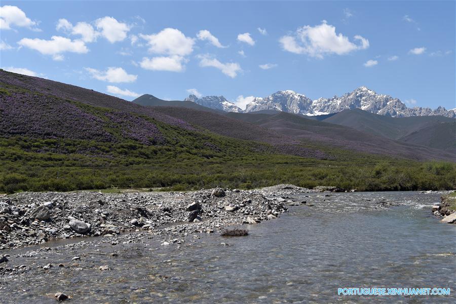 Cenário de ver?o das montanhas Qilian no noroeste da China