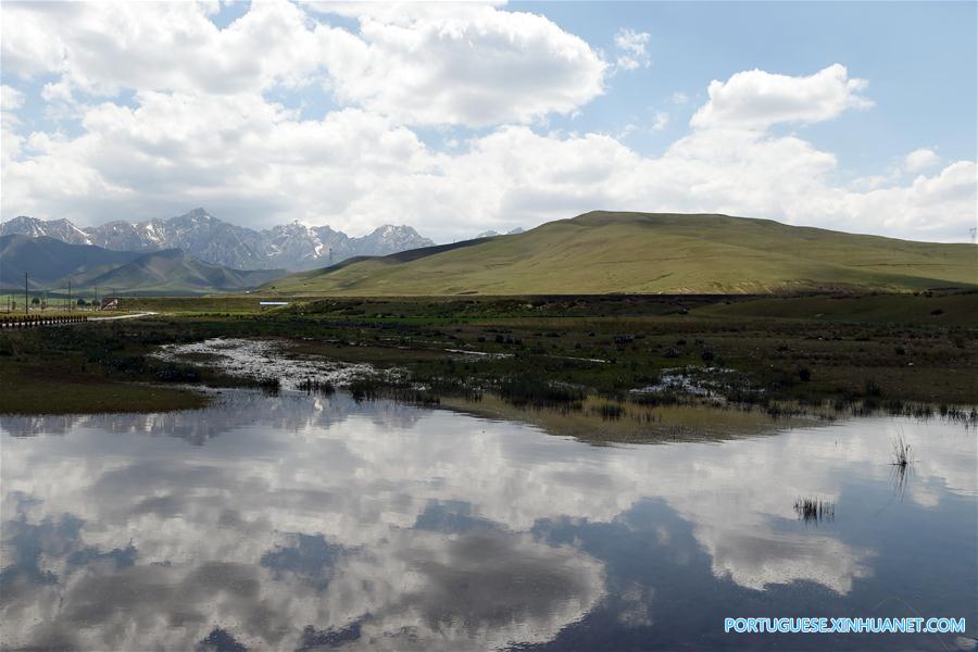 Cenário de ver?o das montanhas Qilian no noroeste da China