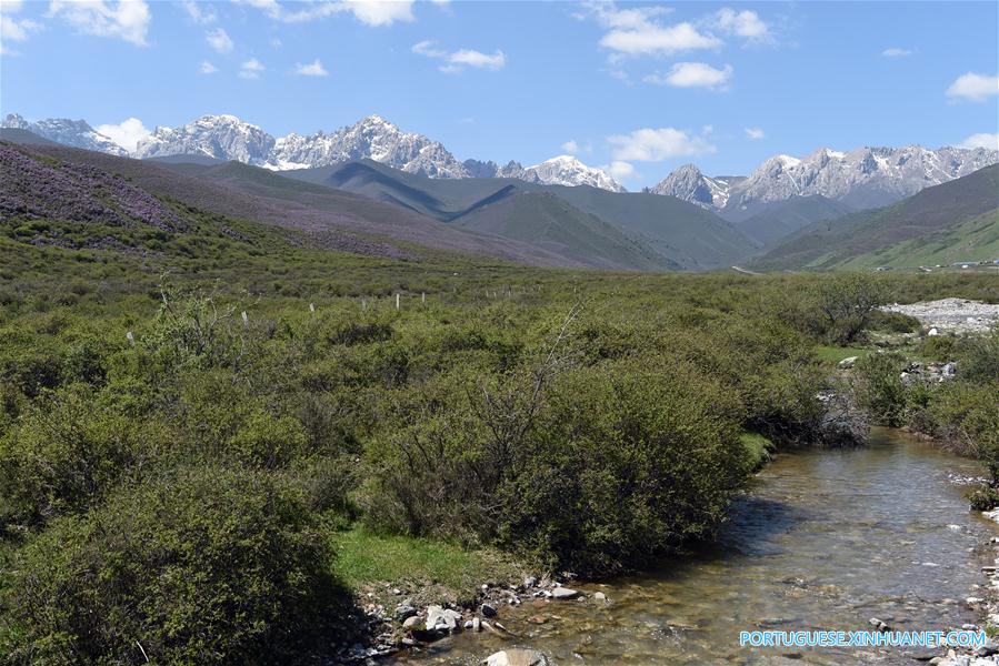 Cenário de ver?o das montanhas Qilian no noroeste da China