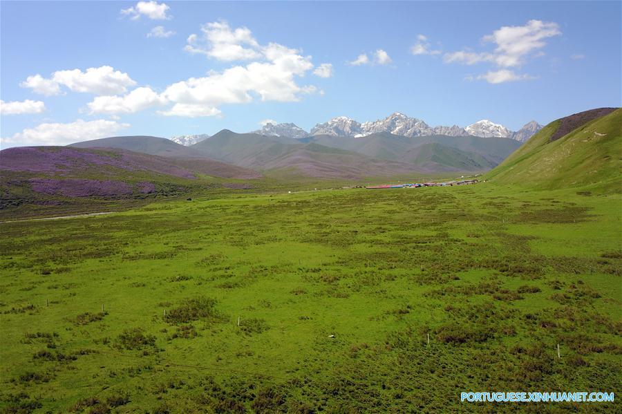 Cenário de ver?o das montanhas Qilian no noroeste da China