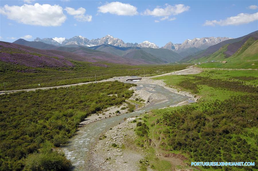 Cenário de ver?o das montanhas Qilian no noroeste da China