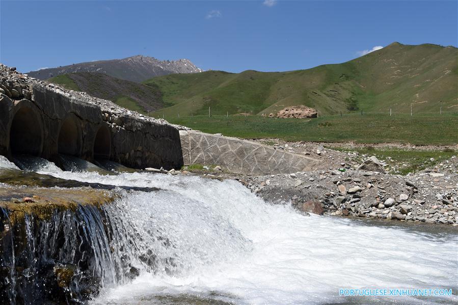 Cenário de ver?o das montanhas Qilian no noroeste da China
