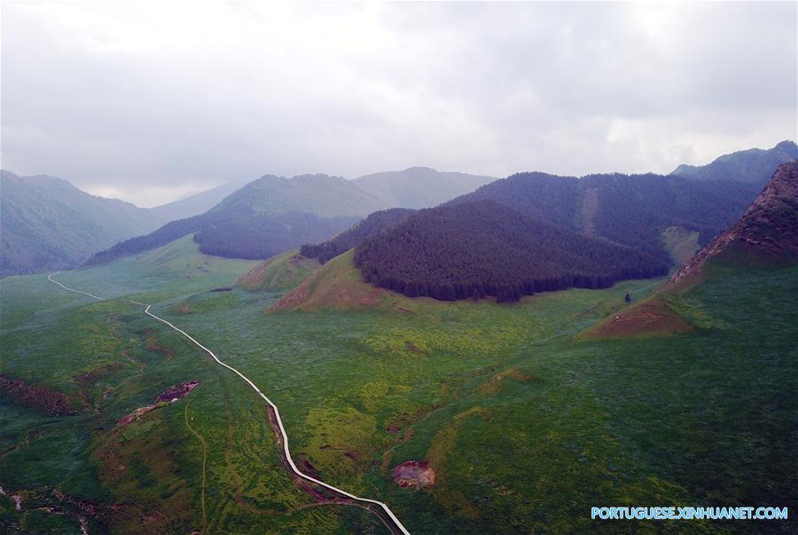 Cenário de ver?o das montanhas Qilian no noroeste da China