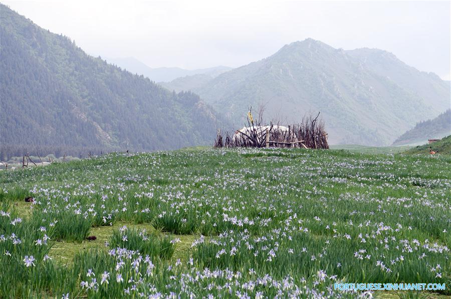 Cenário de ver?o das montanhas Qilian no noroeste da China