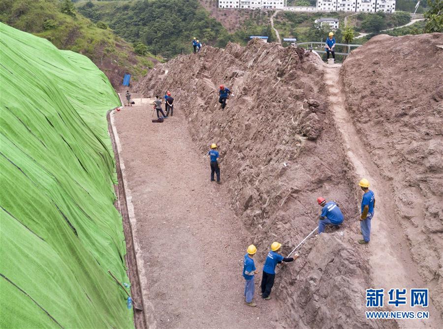 Fósseis de dinossauro descobertos em Chongqing s?o de “importancia mundial”, dizem paleontologistas chineses