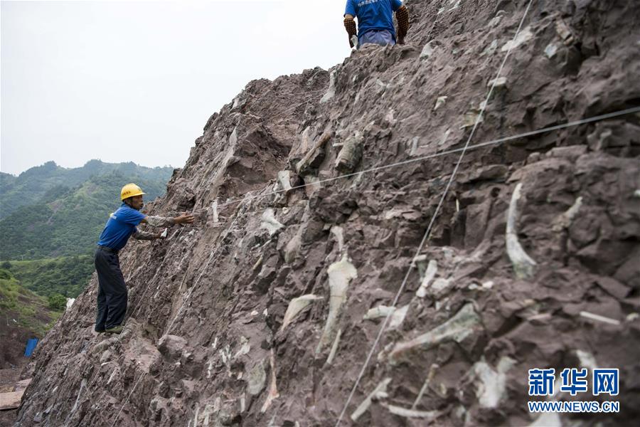 Fósseis de dinossauro descobertos em Chongqing s?o de “importancia mundial”, dizem paleontologistas chineses