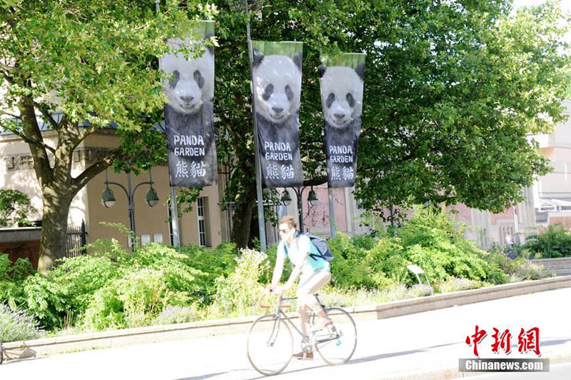 Jardim Zoológico de Berlim realiza cerim?nia de inaugura??o do Jardim do Panda