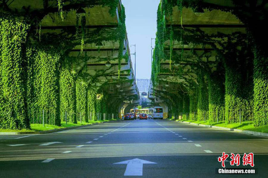 Ponte verde: um cenário idílico no meio da azáfama de Chengdu