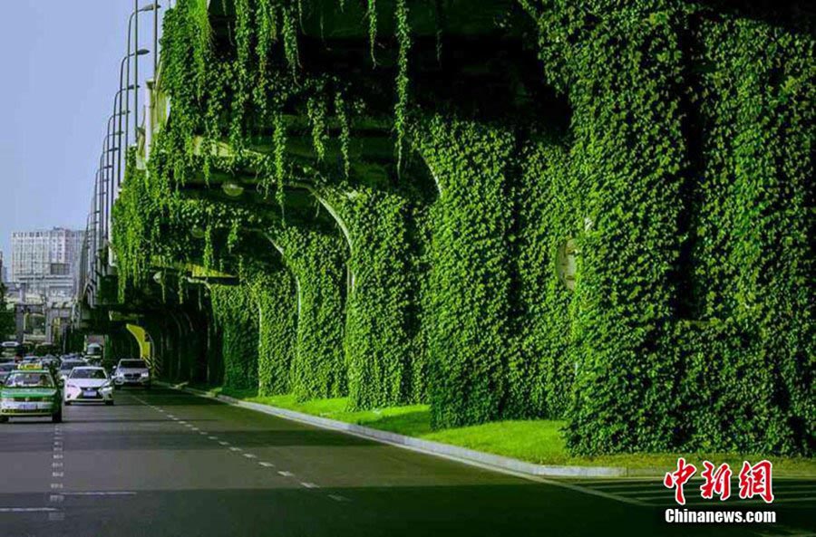 Ponte verde: um cenário idílico no meio da azáfama de Chengdu