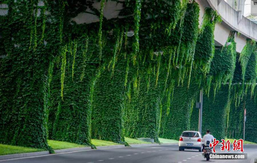 Ponte verde: um cenário idílico no meio da azáfama de Chengdu