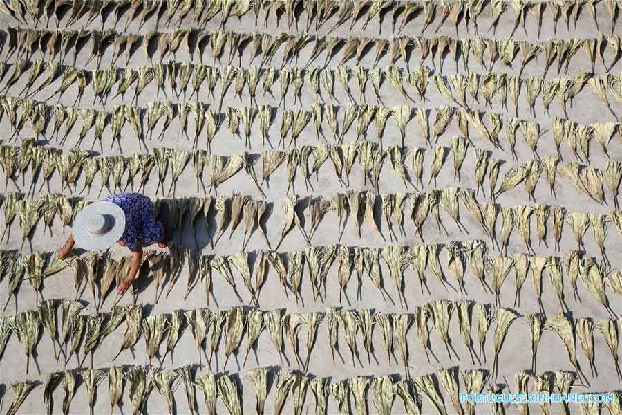 Alde?es produzem abanadores feitos de palmeira em Sichuan