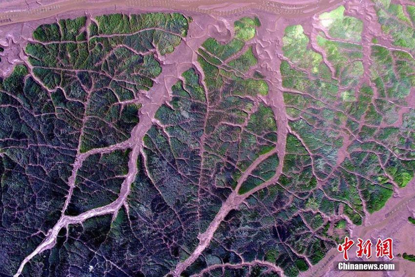 Galeria: Paisagem aérea do loda?al de Xiapu, na província de Fujian