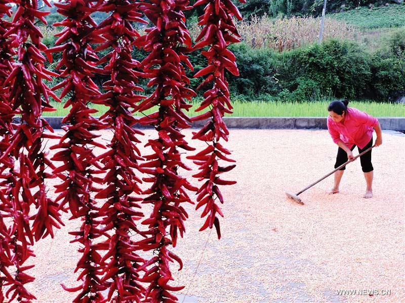 Galeria: “Seca outonal” em Jiangxi
