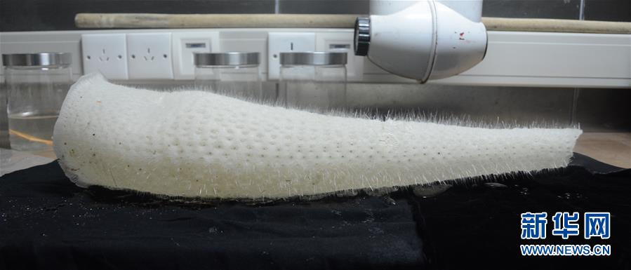 ROV chinês recolhe amostras no oceano Pacífico Ocidental