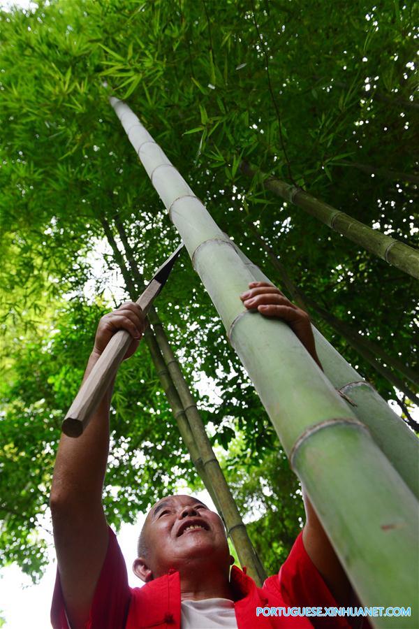 Fabrica??o de jangadas de bambu reaparece em Guizhou