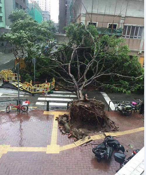 Macau decreta alerta máximo face à chegada do tuf?o Hato