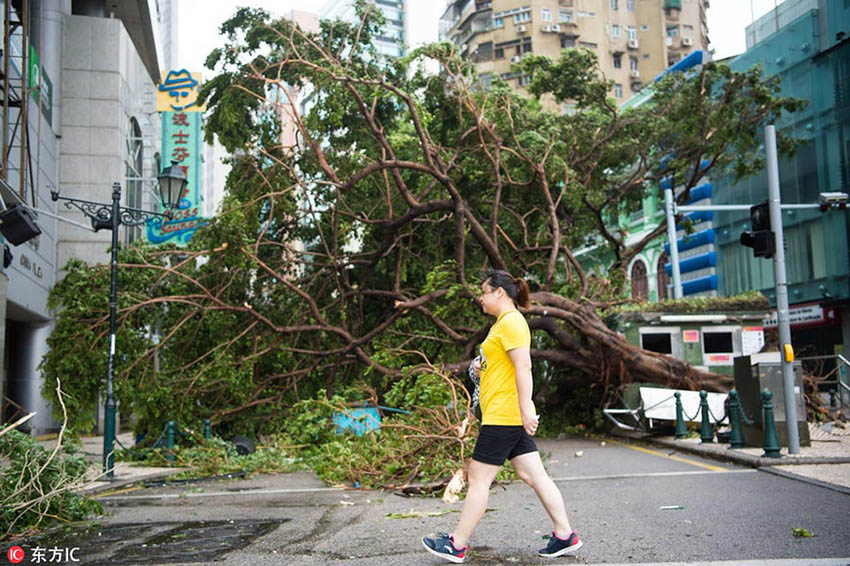 Tuf?o mais forte do ano provoca mortos e feridos no sul da China