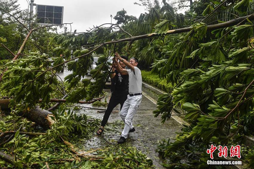 Tuf?o mais forte do ano provoca mortos e feridos no sul da China