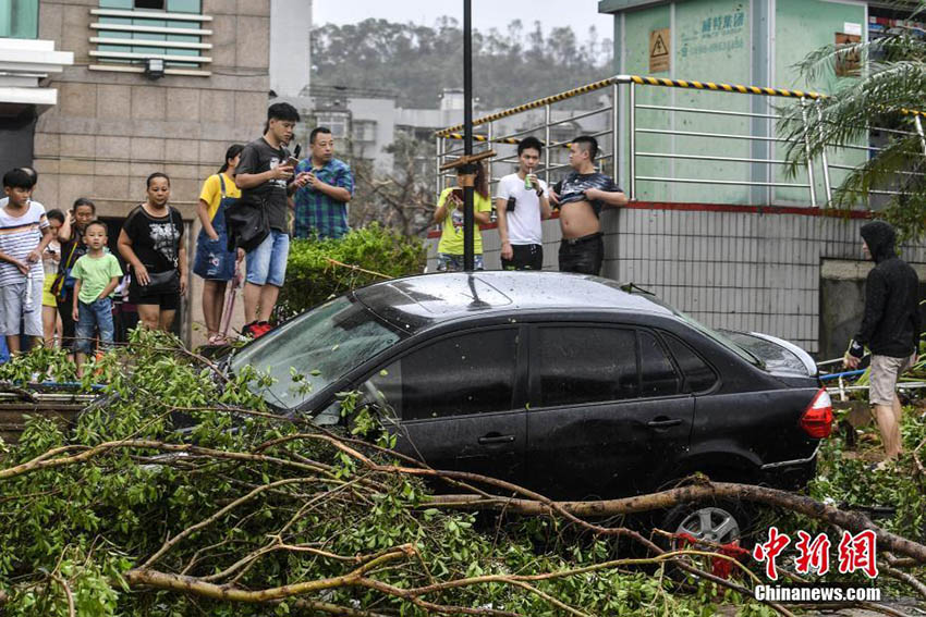 Tuf?o mais forte do ano provoca mortos e feridos no sul da China
